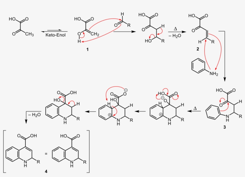 Doebner Reaction - Doebner Von Miller Synthesis, transparent png #6135996
