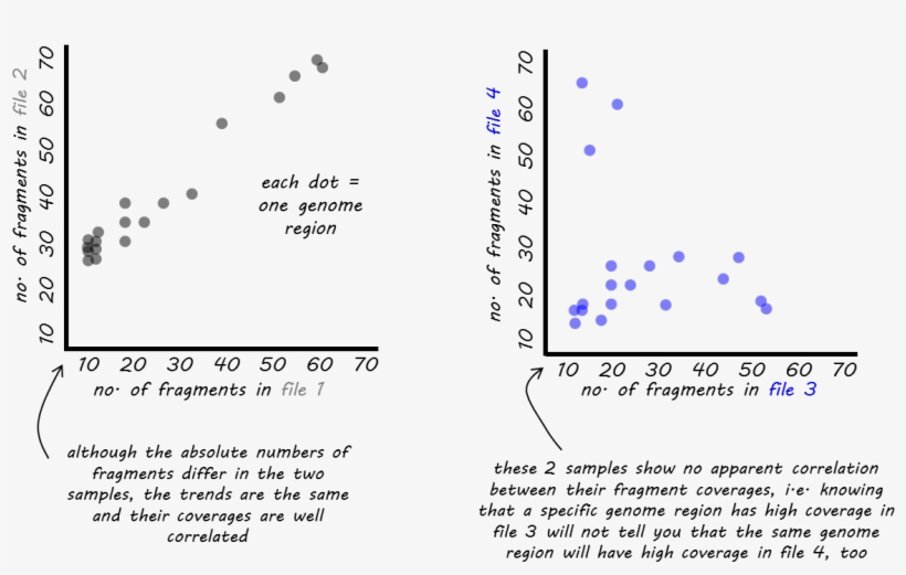 Images/qc Bamcorrelate Intro - Diagram, transparent png #6136069