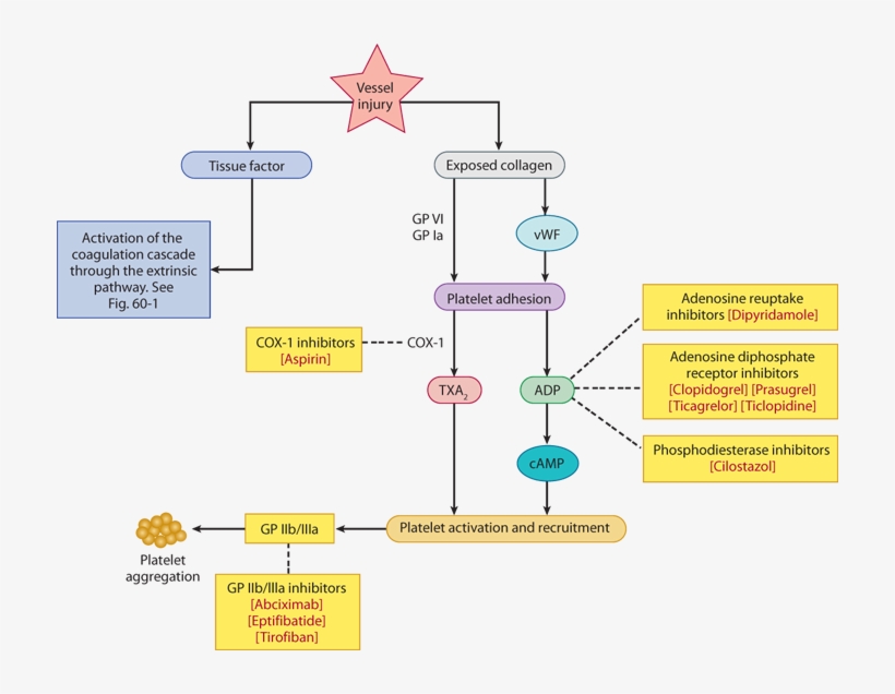 Image Not Available - Diagram, transparent png #6136145