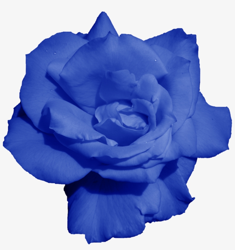 Png File Size - Message, transparent png #6136239