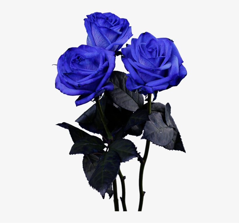 Instagram, transparent png #6136589