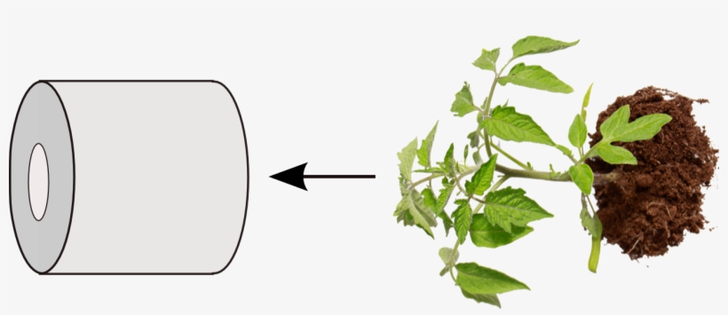 Put The Upside Down Planter On A Hook And Then Fill - Innovation In Healthy And Functional Foods By Dilip, transparent png #6138151