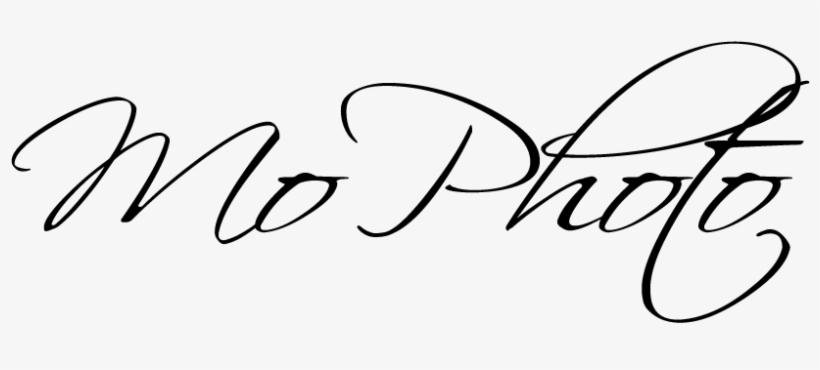 Wheeler3designs There's No Place Like Home Wizard Of, transparent png #6138409