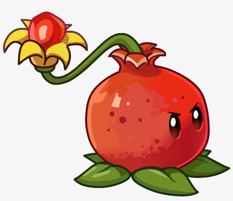 Image Pult Png Plants Vs Zombies Wiki - Pult Plants Vs Zombies, transparent png #6139034