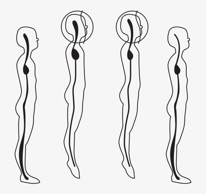 58294main The - Posture, transparent png #6139865