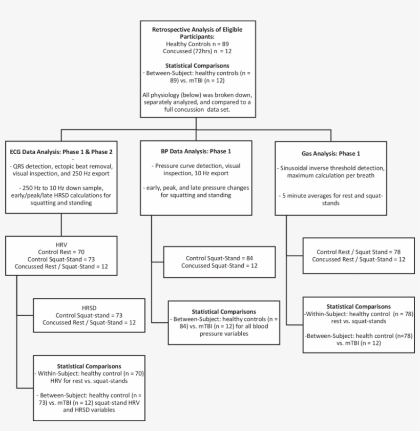 Outline Of The Retrospective Data Analysis Process - Statistics, transparent png #6140129