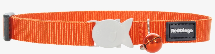 Product Codes - Black Classic Cat Collar By Red Dingo, transparent png #6142332
