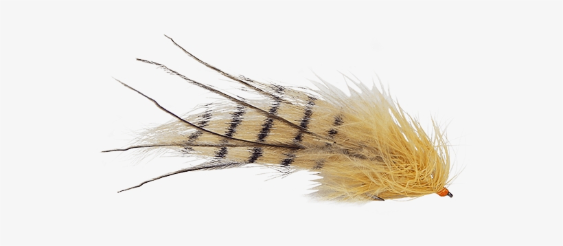 Product Description - Pest, transparent png #6144318