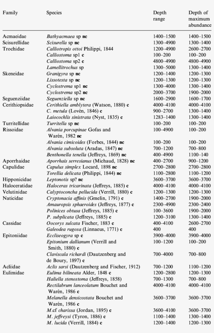 Depth Distribution Of Prosobranchs From The Porcupine - Porcupine Seabight, transparent png #6144418
