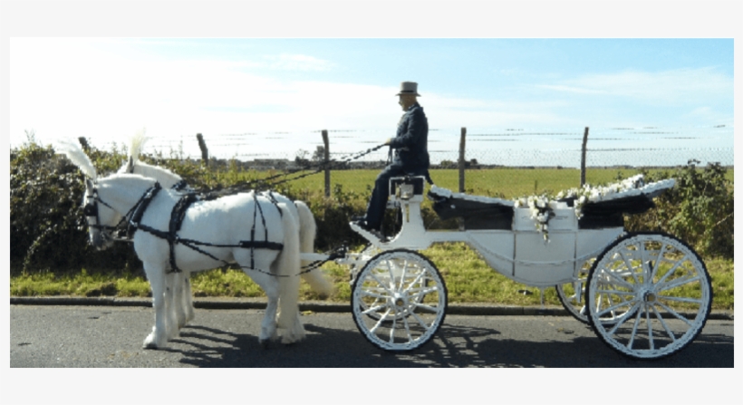 Horse And Buggy, transparent png #6145926
