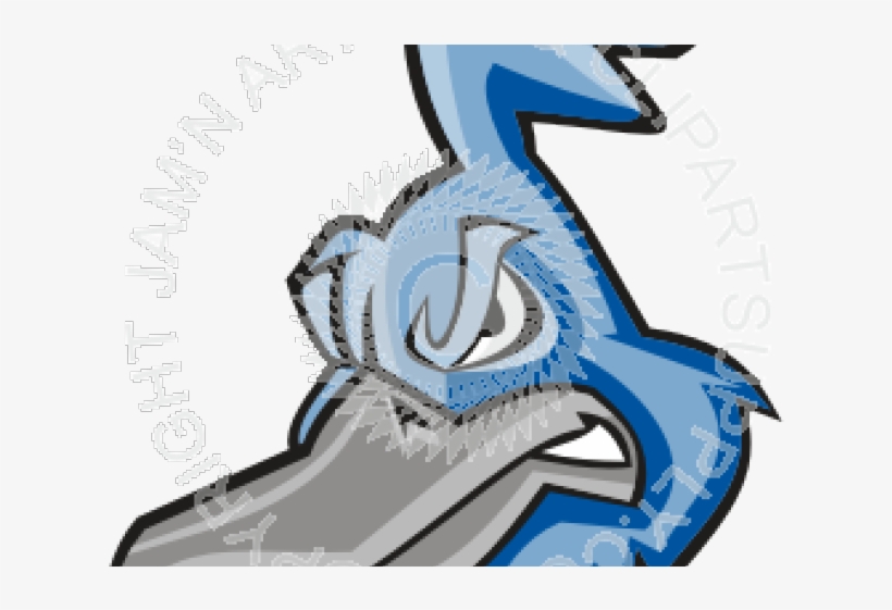 Roadrunner Clipart Head - Mascot, transparent png #6146930