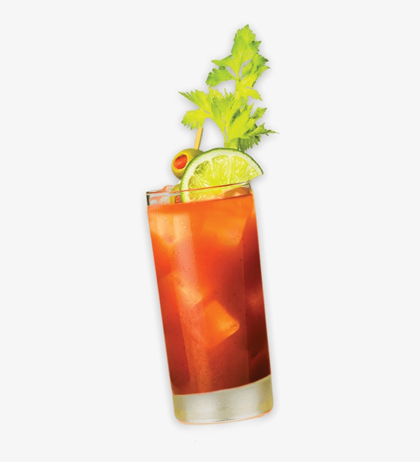 Photography, transparent png #6148695