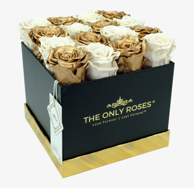 Square Black Huggy Rose Box - Rose, transparent png #6149714