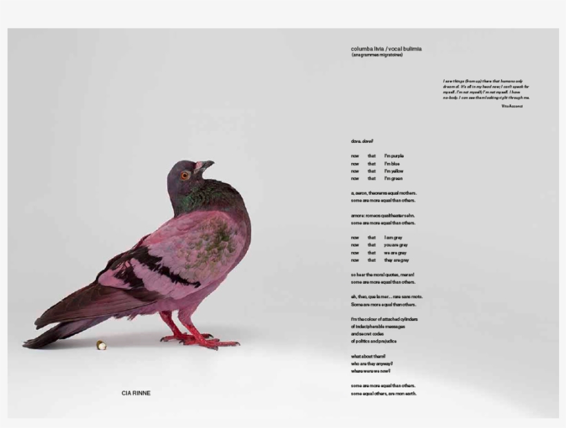 1/8 - Some Pigeons Are More Equal Than Others, transparent png #6152006