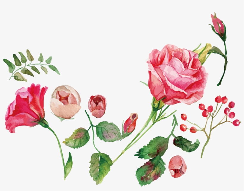 Watercolor Painting Flower Rose Royalty-free - Rose Vector Png Watercolor, transparent png #6152882