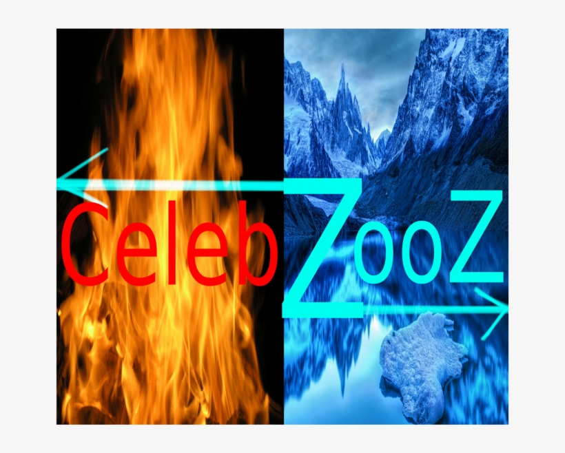 Celebzooz's Picture - Graphic Design, transparent png #6153907