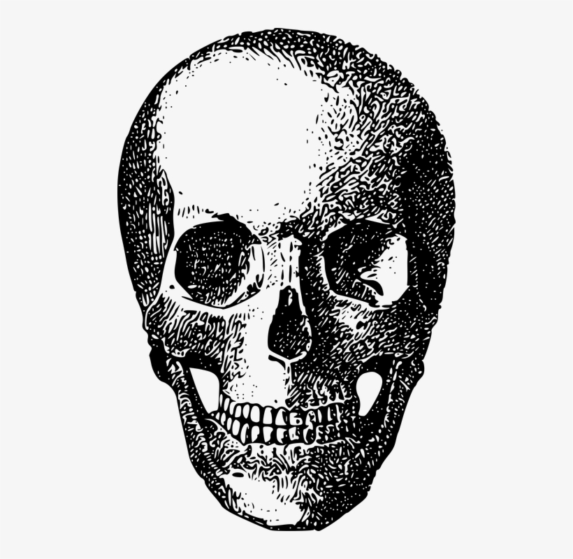 Bone, Game Asset Call, Skeleton, Skull - Skull, transparent png #6154690