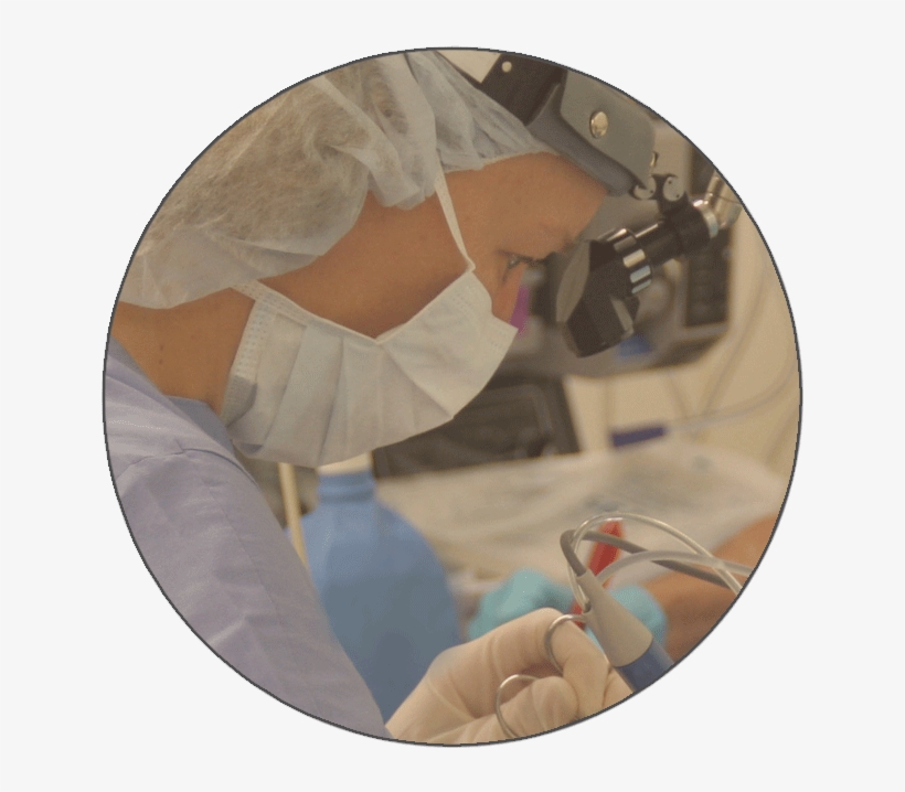 Starion Tonsillectomy - San Mateo, transparent png #6155604