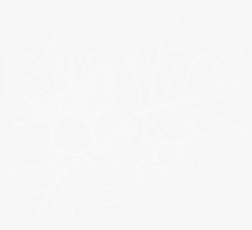 Wordpress Logo White Png, transparent png #6156412