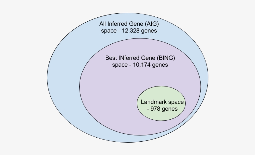 Users Can Ask Whether Their Genes Of Interest Belong - Circle, transparent png #6156743