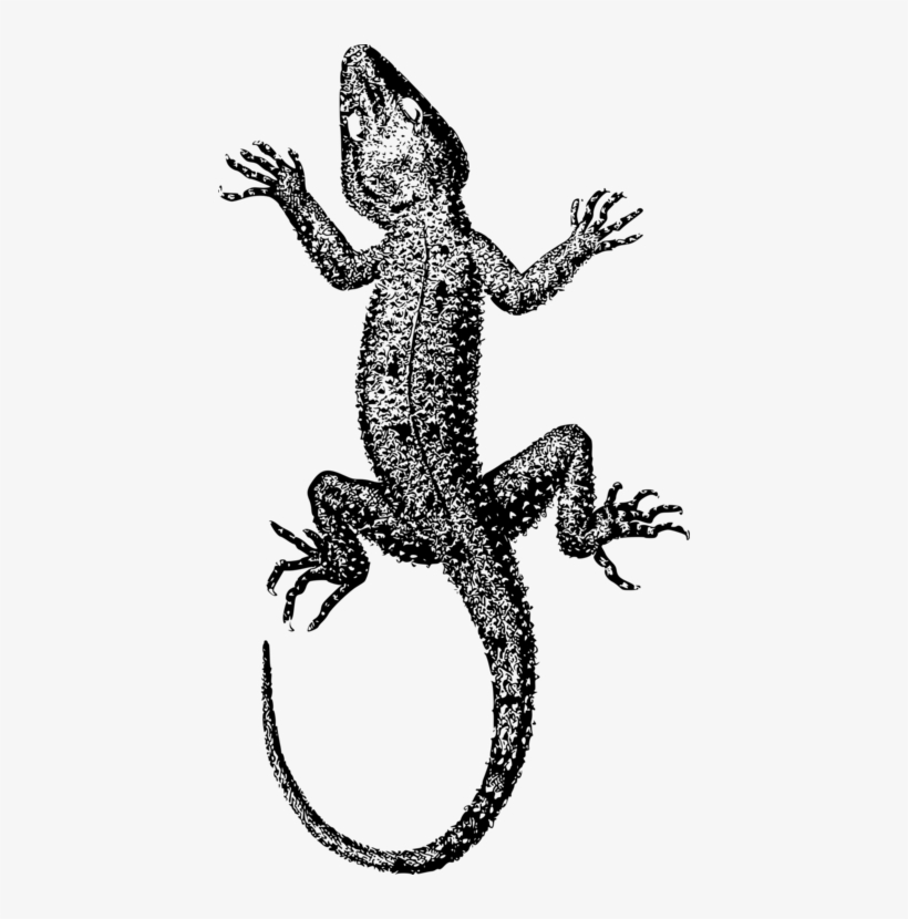 T-shirt Github Internet Animal - Clip Art, transparent png #6158801