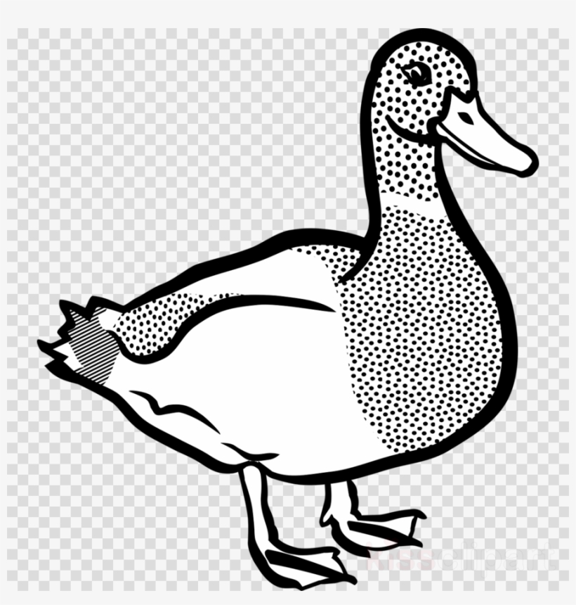 Clip Art Duck Clipart American Pekin Duck Clip Art - Duck Black And White Clip Art, transparent png #6159375