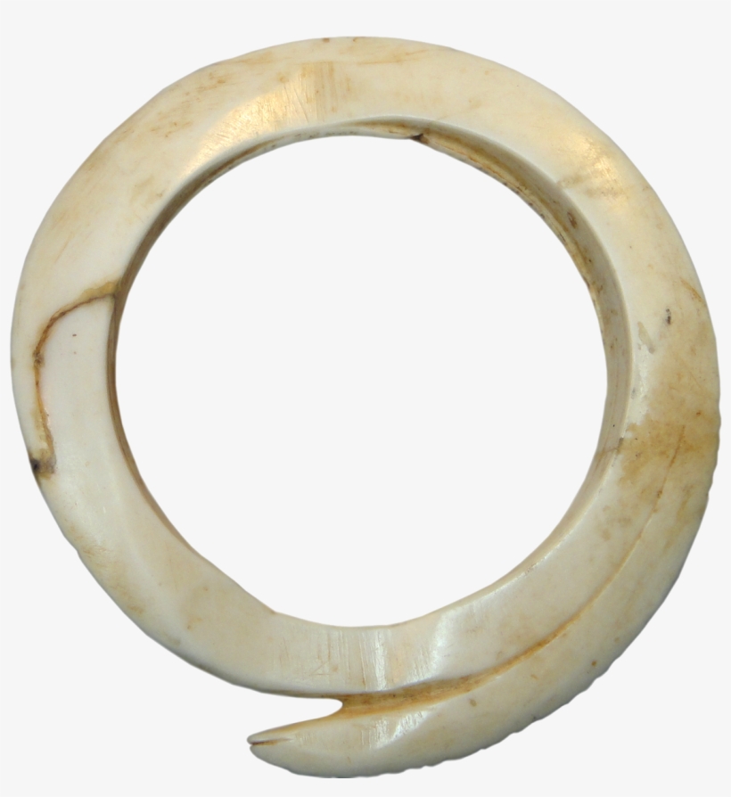 Papua New Guinea, Green River District, Kueruek Clam - Body Jewelry, transparent png #6161641