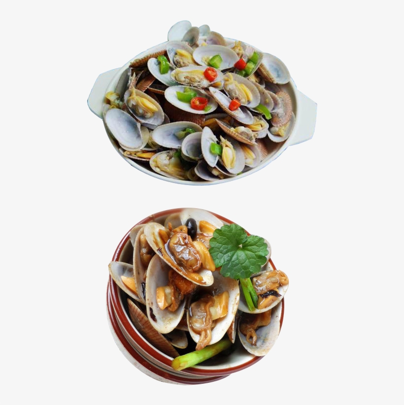 Clam Vector Mussel - Seafood, transparent png #6161801