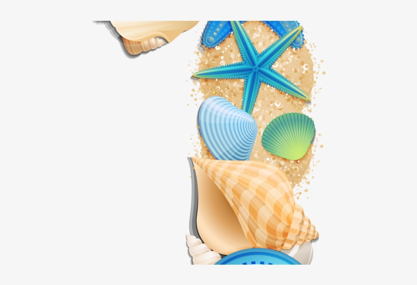 Clams Clipart Beach Shell - Shell, transparent png #6161938