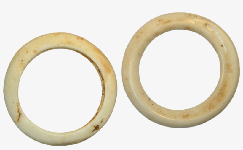 Papua New Guinea And Europe, Clam Shell Ring And Imitation - Papua New Guinea, transparent png #6162245