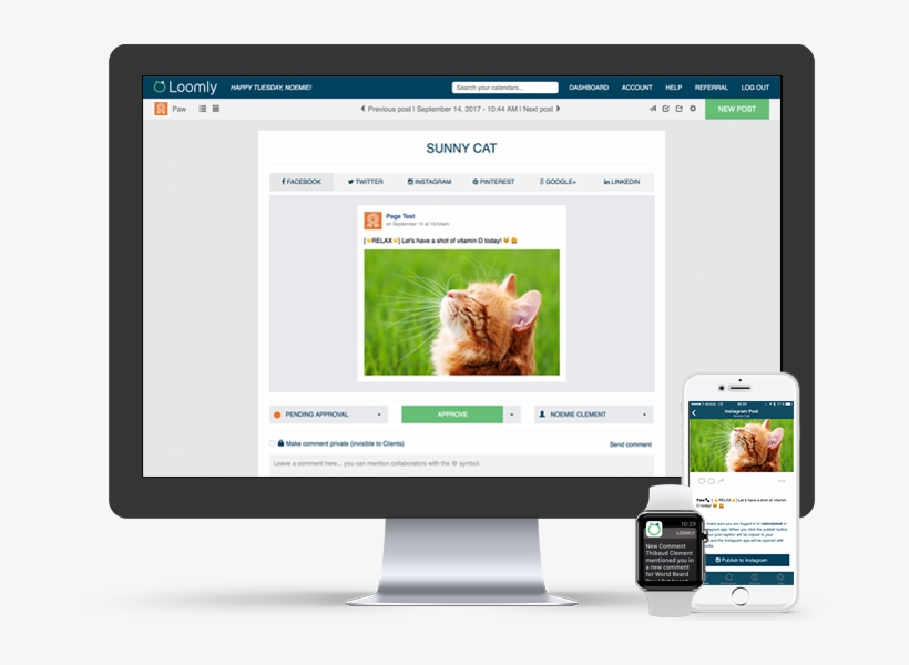 Social Media Calendars - Window Film Privacy Opaque Frosted Glass Film Oom 90*200cm, transparent png #6162926