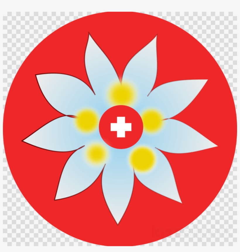 Edelweiss Swiss Flower Clipart Switzerland Leontopodium - Map Maker Icon, transparent png #6166339