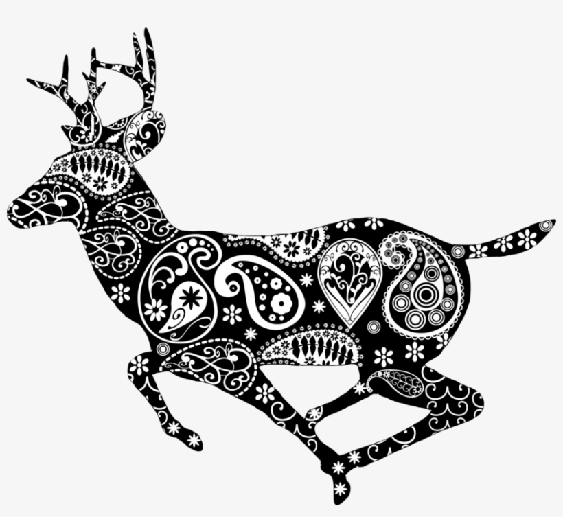 Reindeer Coloring Book White-tailed Deer Deer Hunting, transparent png #6168452