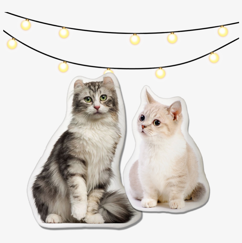 Cat Pillow, transparent png #6170000
