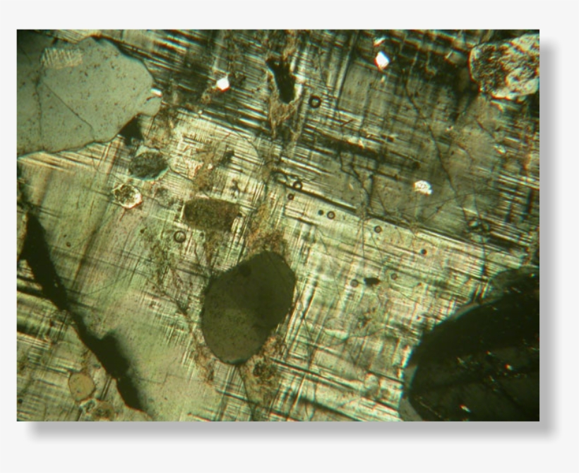 Xpl - Nyseamerican:xpl, transparent png #6172887