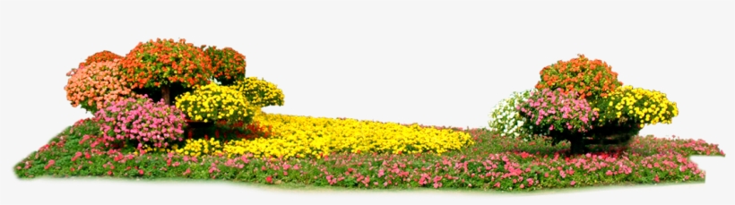 Floral Design Rectangle Transprent - Flowerbed Png, transparent png #6174481