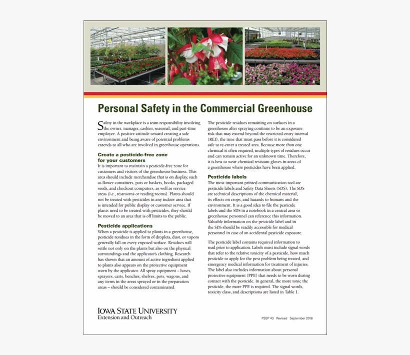 Orchid, transparent png #6174701