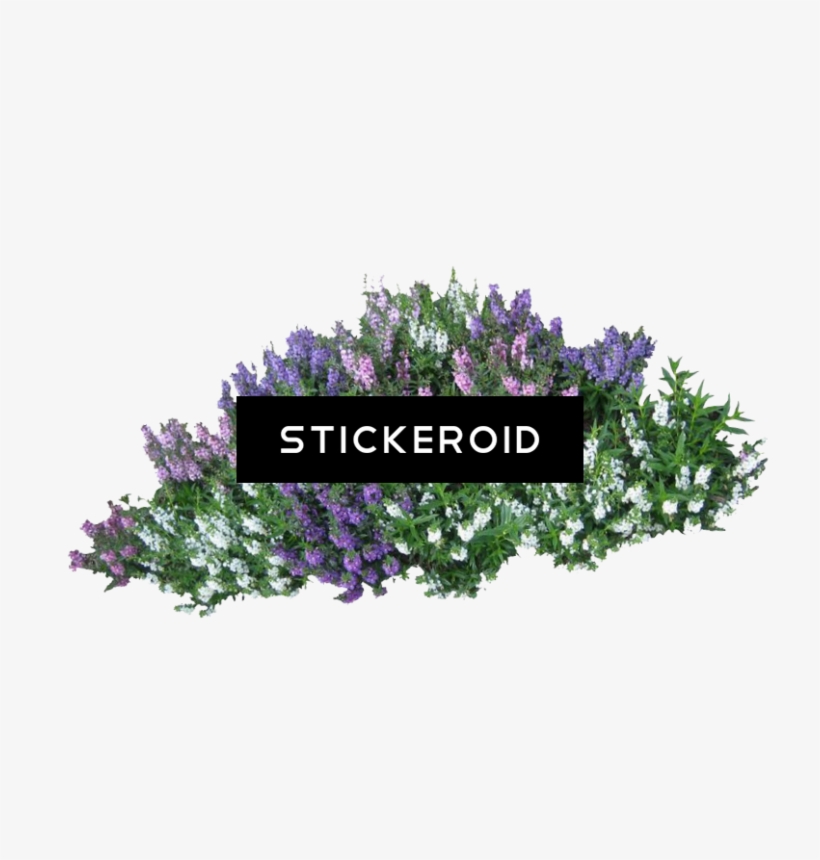 Bushes - Arbustos Png Para Renders, transparent png #6174825