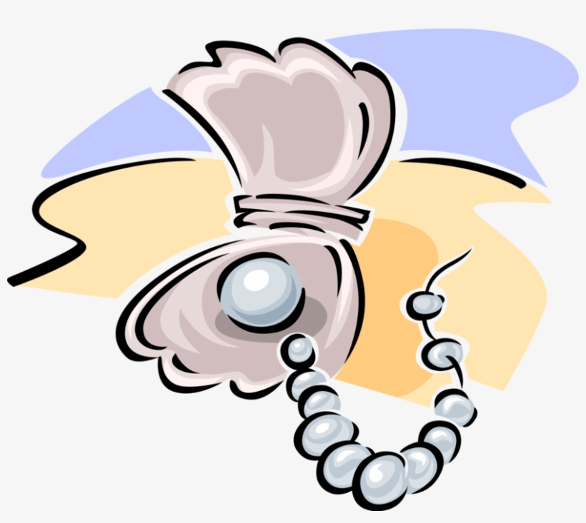 Clam Vector Pearl Illustration - Matthew 13 44 45 Activity Pages, transparent png #6175080