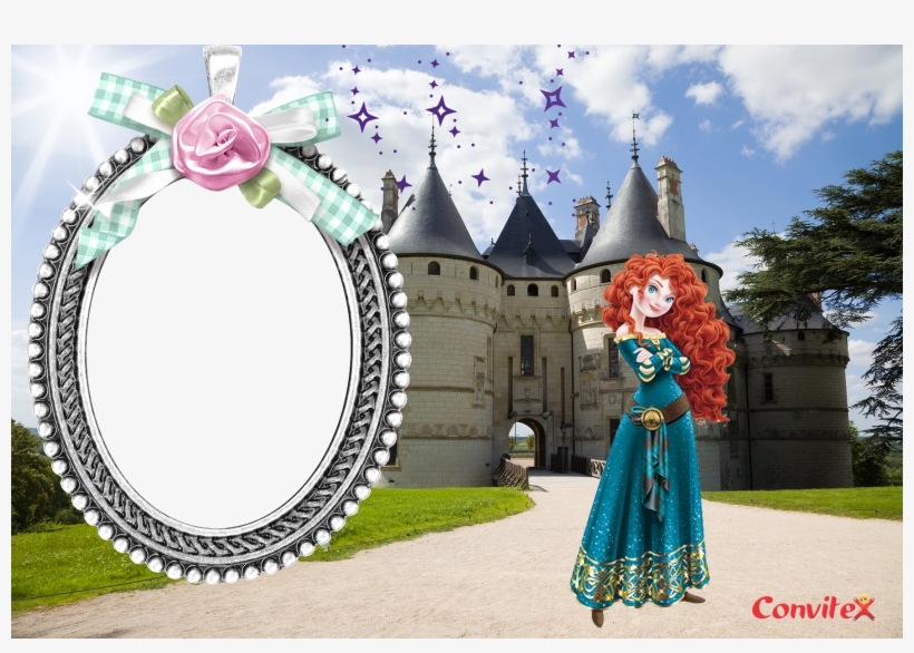 Or Freedome Vpn Mod Contact Your Company's Support - Château De Chaumont, transparent png #6176054