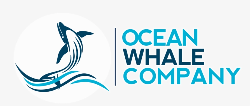 Humpback Whale Png, transparent png #6176342