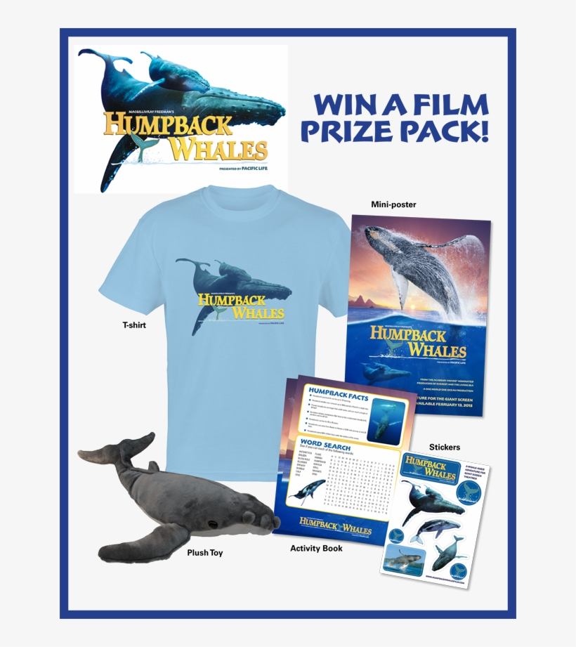 Giveaway - Humpback Whales, transparent png #6176565