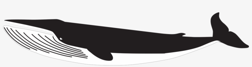 Image - Monochrome, transparent png #6176811