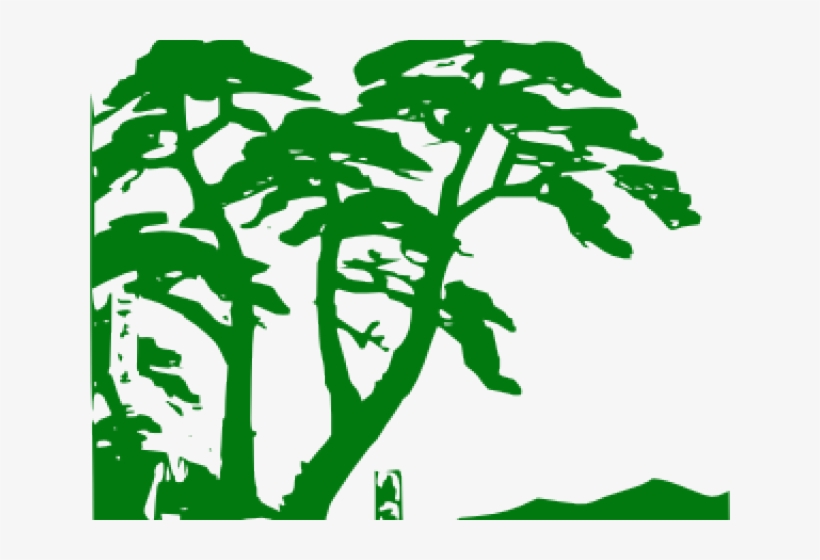 Jungle Clipart Jungle Tree - Tropical Rainforest Clipart, transparent png #6177154