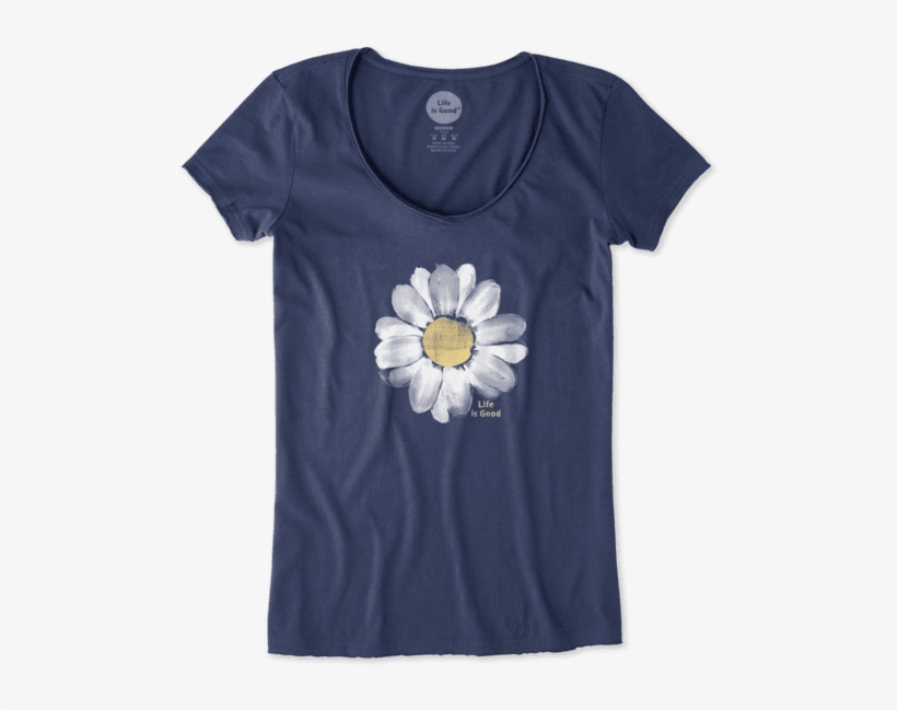 Gazania, transparent png #6177471