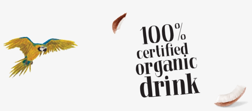 100% Certified Organic Drink Logo - Drink, transparent png #6180601