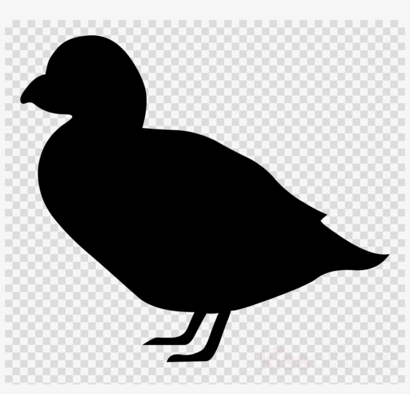 Duck Silhouette Transparent Clipart Goose Duck Bird, transparent png #6181468