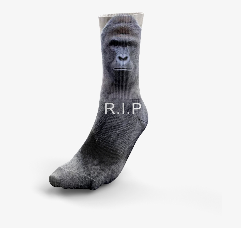 harambe 12s shoes