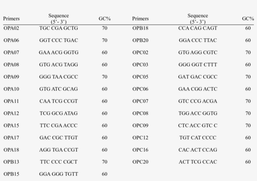 Sequence, Operon Codes And Gc Content Of Random Primers - Primer, transparent png #6183850