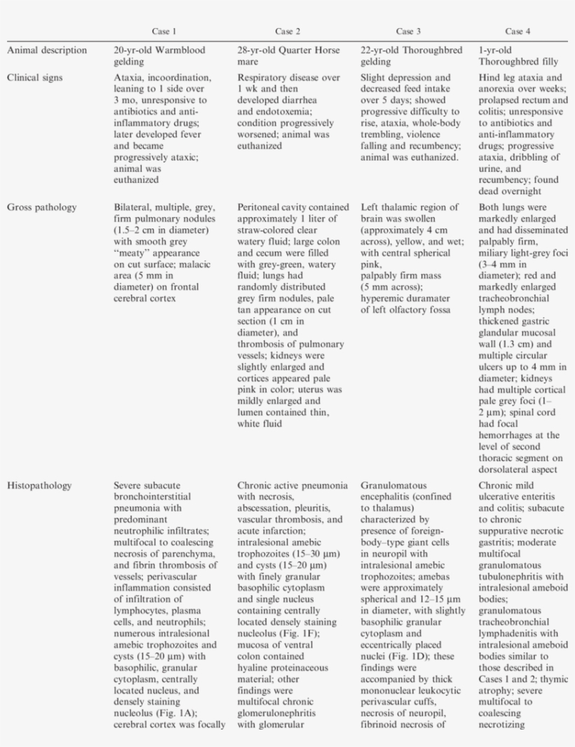 Infections With Acanthamoeba Sp - Document, transparent png #6183986